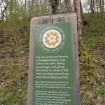 Canadian No 38 凯西克