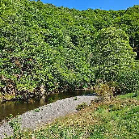 Canadian No 38 * 凯西克