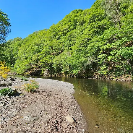 度假居 Canadian No 38 凯西克